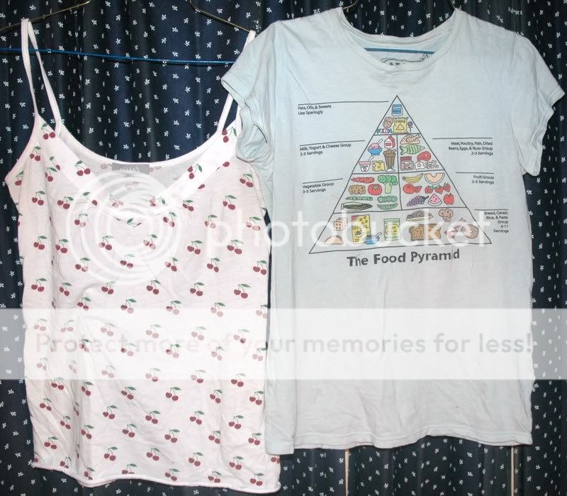 food pyramid shirt